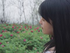 -盛世牡丹苑生态文化旅游区