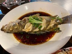 多宝鱼-盒马鲜生(杭州运河上街店)