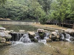 -白水寺森林公园