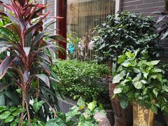 -小洲村
