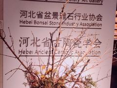 -稍可轩博物馆餐厅