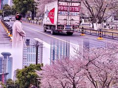 -西北湖绿化广场
