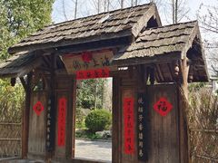 -东平国家森林公园