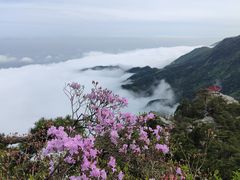 -庐山风景名胜区