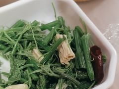 -金鼎轩(阜成门店)