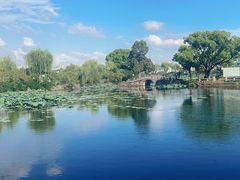 -无锡蠡湖国家湿地公园-蠡园