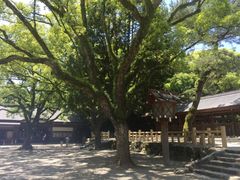 -热田神宫