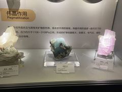 -湖南省地质博物馆