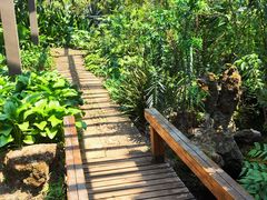 -昆明植物园
