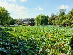 -莲池书院博物馆