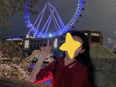 -幻彩摩天轮