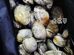 -黄沙水产交易市场