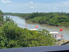 -东寨港红树林旅游区