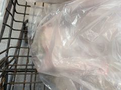 -盒马鲜生(莱蒙都会店)