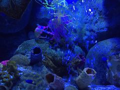 -成都泰迪熊博物馆