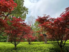 -兰亭风景区