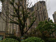 -万达茂商场(南京仙林店)