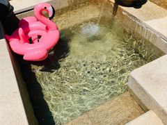 -大连金石滩绿发温泉假日酒店
