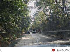 -广州市石门国家森林公园