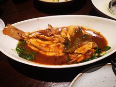 红烧菊黄河豚-扬州狮子楼·非遗淮扬菜(总店)