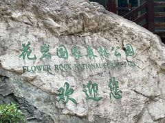 -花岩国家森林公园