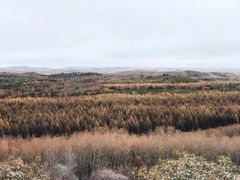 -塞罕坝国家级自然保护区