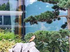 -杭州萧山国际机场