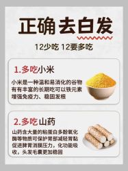 -Bollins波林丝•专研护发中心