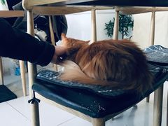 -平行世界·猫咖(首经贸店)