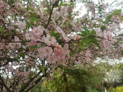 -成都中医药大学(温江校区)