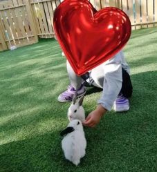 -萌宠亲子动物乐园(槐房万达店)