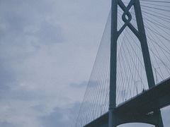 -招商蛇口邮轮母港(观光客运)