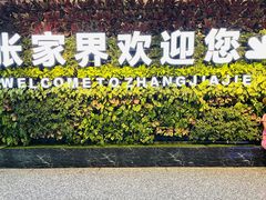 -张家界荷花国际机场