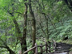 -西岭雪山大飞水景区