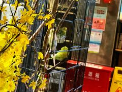 -静一·食光里(黄河路店)