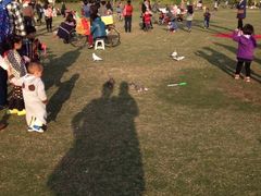 白鹭洲公园-白鹭洲公园