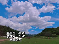 -关山草原