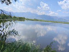 -野鸭湖国家湿地公园