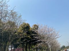 -重庆园博园