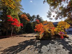 -北海道神宫