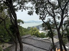 -三中高皇羊肉馆
