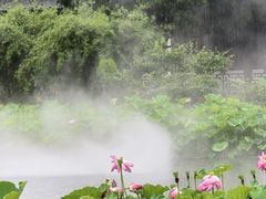 -南园(太仓市)