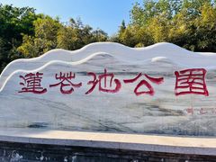 -莲花池公园
