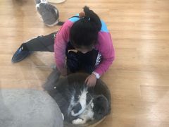 -猫冇咖·家门口的撸猫馆(大融城店)