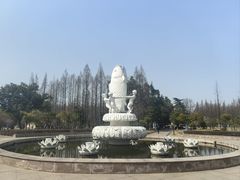-水杉园