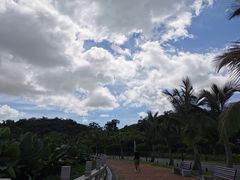 -野狸岛