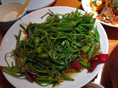 -菌自由丨野生菌火锅特色庭院餐厅(丽江古城店)