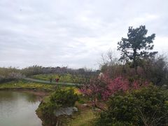 -上海海湾国家森林公园