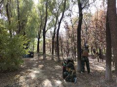 -亲兄弟真人CS团建拓展基地