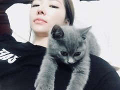 -猫大福·Fortune Cat猫舍(百子湾店)